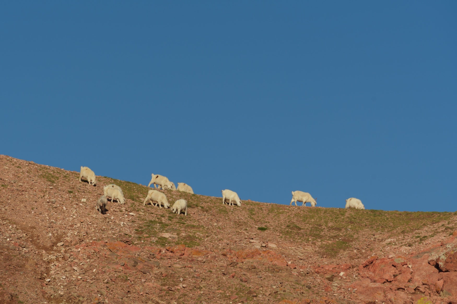 collection-banner-image