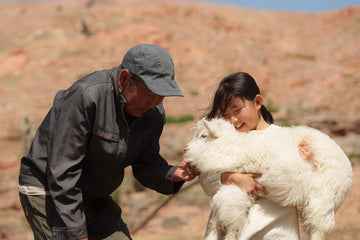 How to Judge Real Cashmere Quality: Fiber Grade, Length & What Truly Matters