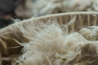 Ethical Fiber  Collection1