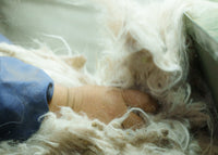 Impurity Removal3