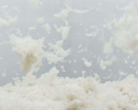 Fiber Conditioning9