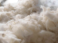 Low-Temperature  Drying6