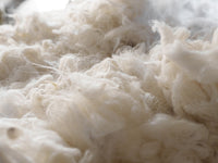 Low-Temperature  Drying6